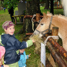 Tierfest H__chst 12_05_2012 51_jpg-1336833758