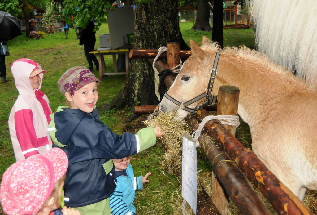 Tierfest H__chst 12_05_2012 51_jpg-1336833758