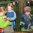 Tierfest H__chst 12_05_2012 74_jpg-1336833805