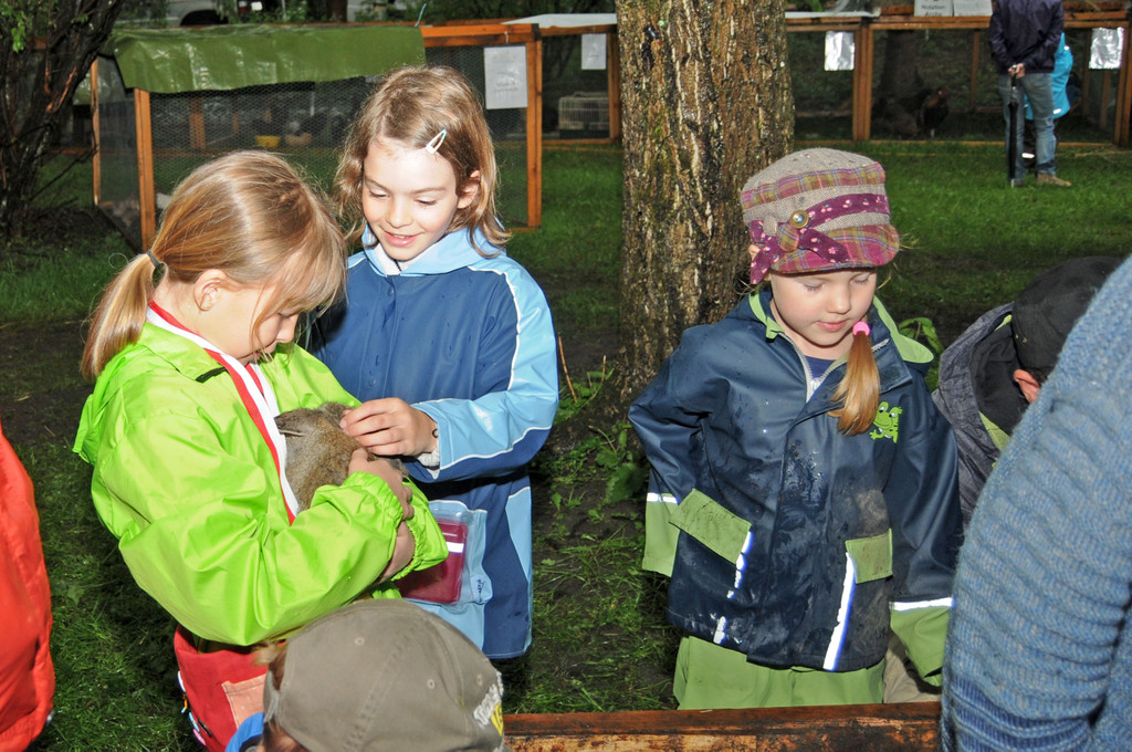 Tierfest H__chst 12_05_2012 74_jpg-1336833805