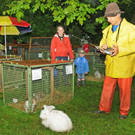 Tierfest H__chst 12_05_2012 86_jpg-1336833821