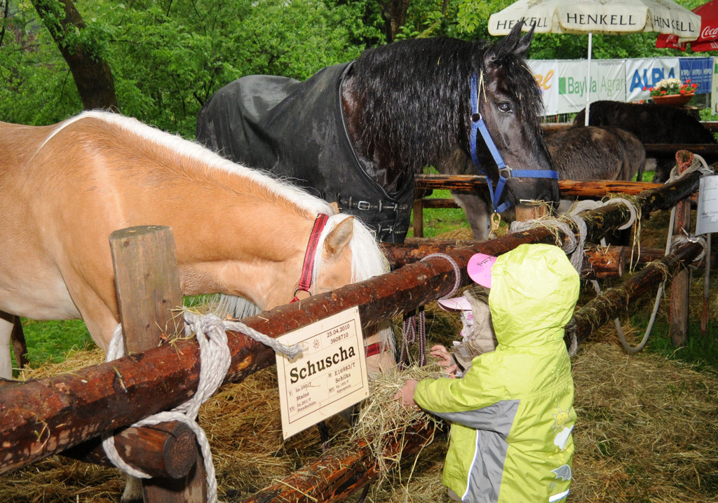Tierfest H__chst 12_05_2012 116_jpg-1336833874