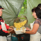 Tierfest H__chst 12_05_2012 147_jpg-1336833941