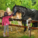 Tierfest H__chst 12_05_2012 153_jpg-1336833949