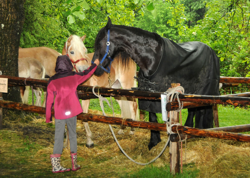 Tierfest H__chst 12_05_2012 153_jpg-1336833949