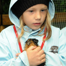 Tierfest H__chst 12_05_2012 165_jpg-1336833968