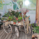 KOE_Sunnahof044_jpg-1336840567