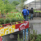 KOE_Sunnahof064_jpg-1336840647