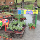 KOE_Sunnahof069_jpg-1336840672