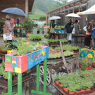 KOE_Sunnahof071_jpg-1336840682