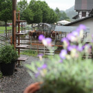 KOE_Sunnahof072_jpg-1336840687