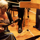 DSC02215_JPG-1336899086