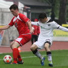 Dornb_ - Wattens  2012 033.jpg