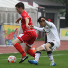 Dornb_ - Wattens  2012 034.jpg
