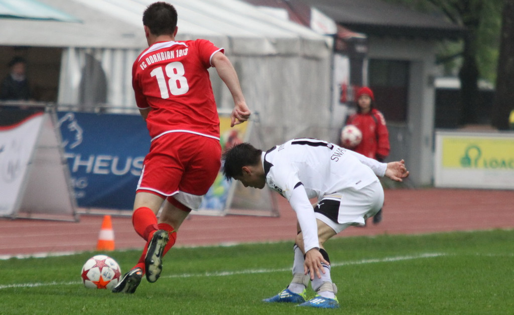 Dornb_ - Wattens  2012 037.jpg
