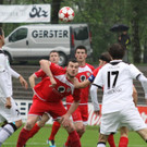 Dornb_ - Wattens  2012 043.jpg