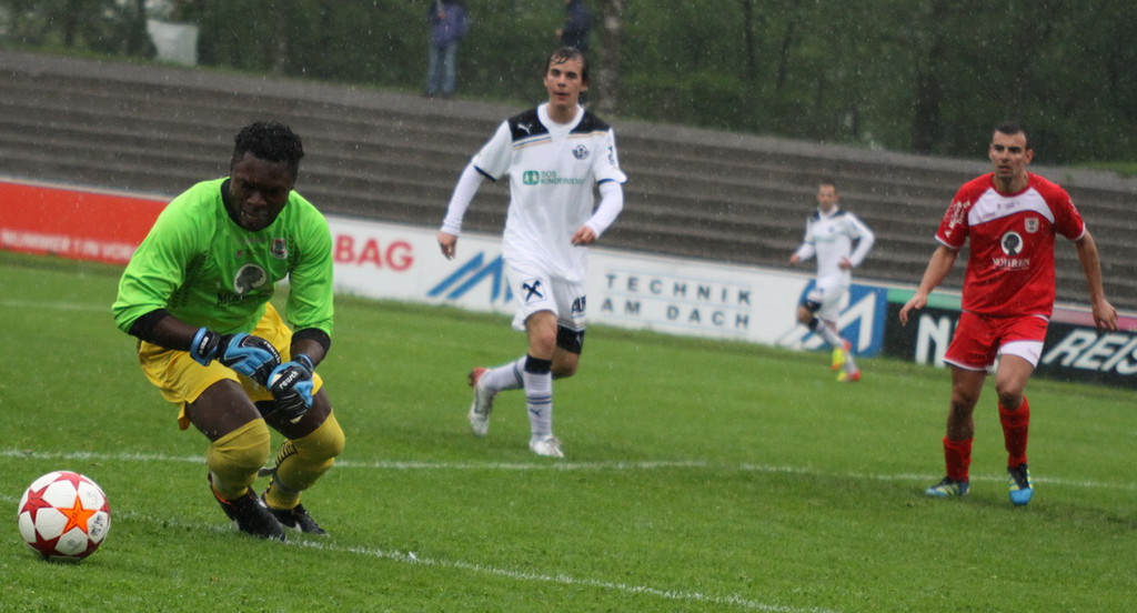 Dornb_ - Wattens  2012 094.jpg