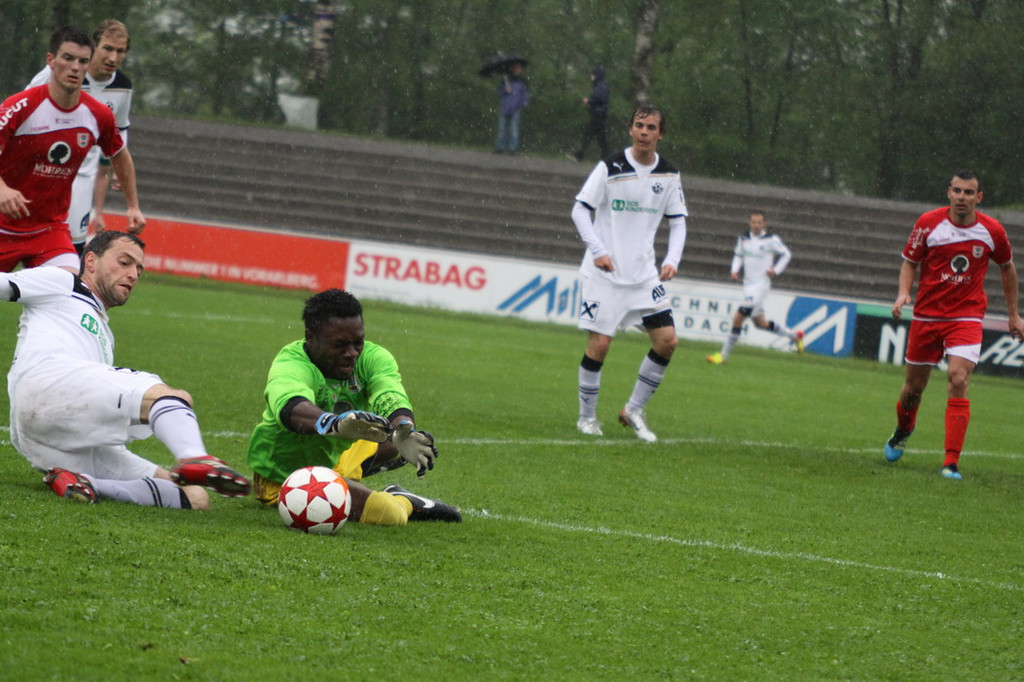 Dornb_ - Wattens  2012 095.jpg