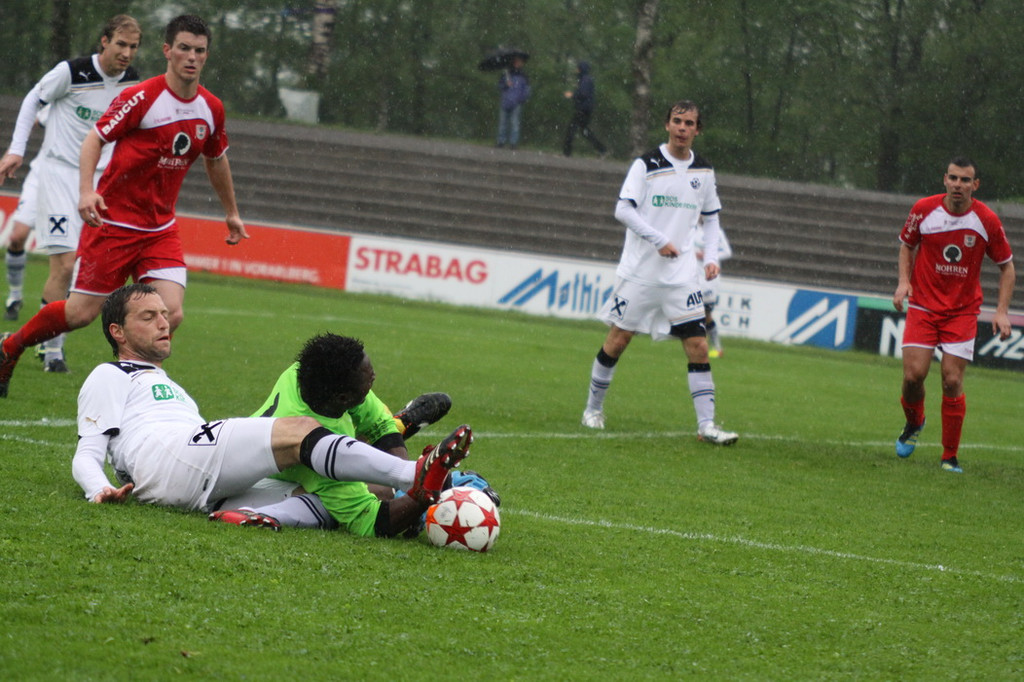 Dornb_ - Wattens  2012 096.jpg