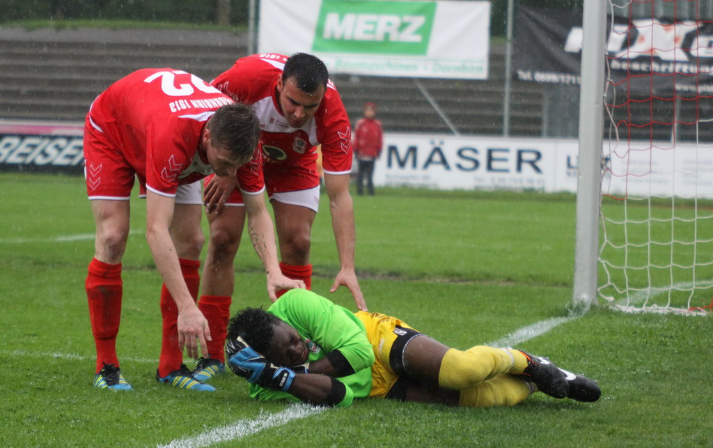 Dornb_ - Wattens  2012 100.jpg