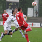 Dornb_ - Wattens  2012 131.jpg