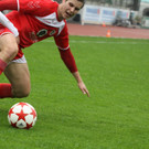 Dornb_ - Wattens  2012 135.jpg