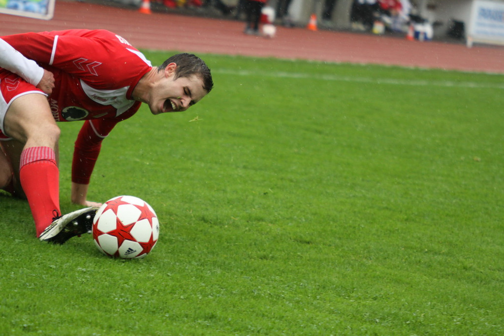 Dornb_ - Wattens  2012 136.jpg