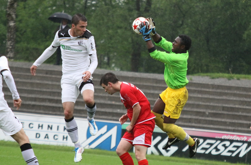 Dornb_ - Wattens  2012 155.jpg