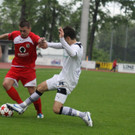 Dornb_ - Wattens  2012 204.jpg