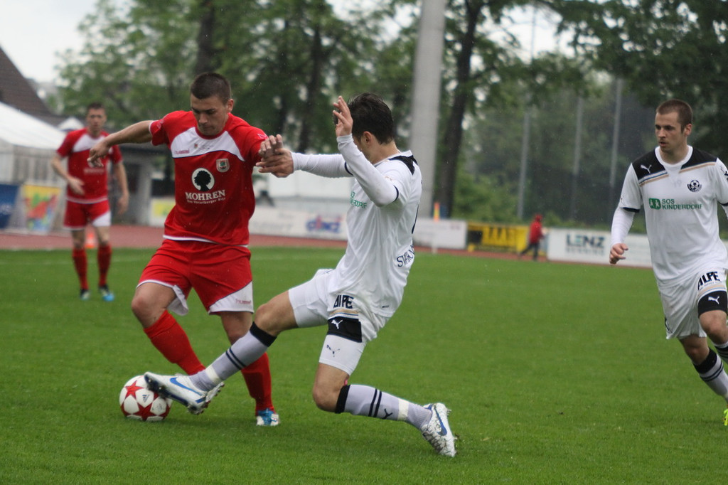 Dornb_ - Wattens  2012 204.jpg