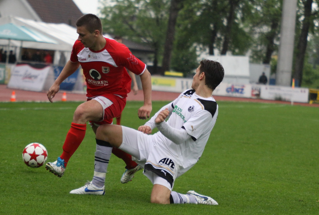 Dornb_ - Wattens  2012 206.jpg