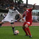 Dornb_ - Wattens  2012 225.jpg