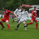 Dornb_ - Wattens  2012 234.jpg
