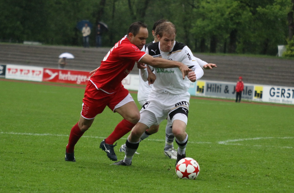 Dornb_ - Wattens  2012 239.jpg