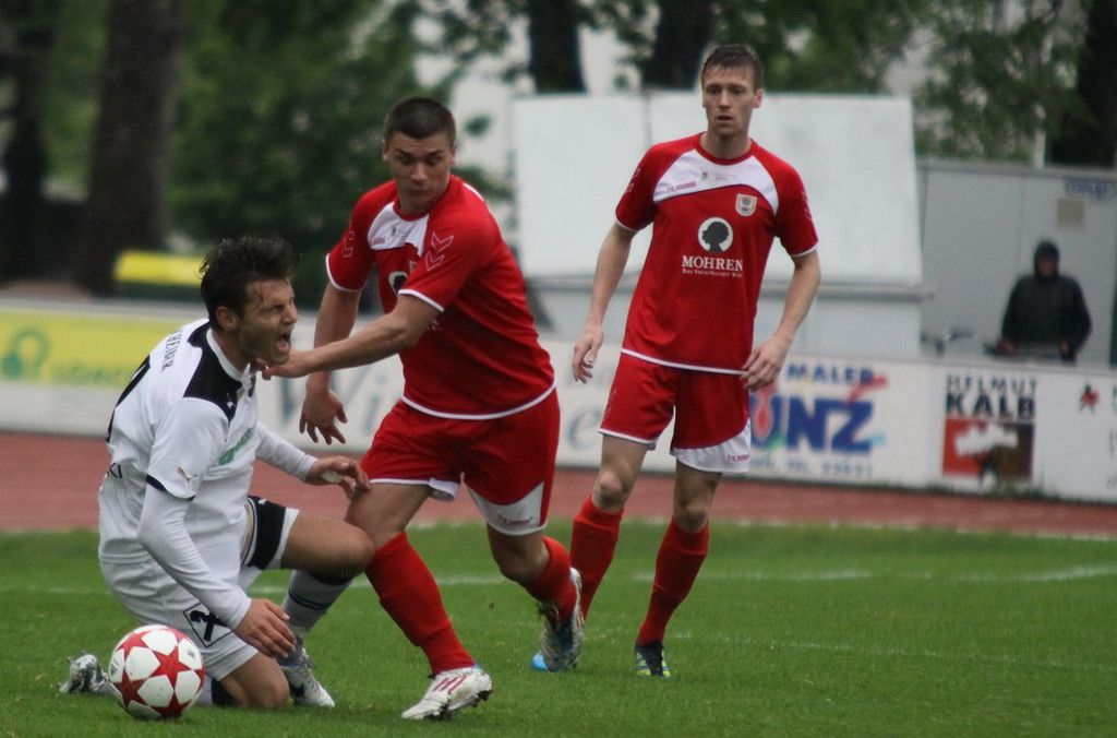 Dornb_ - Wattens  2012 243.jpg