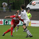 Dornb_ - Wattens  2012 261.jpg