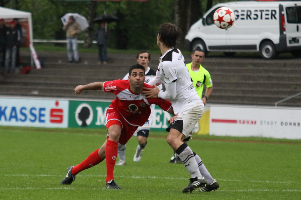Dornb_ - Wattens  2012 261.jpg