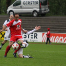 Dornb_ - Wattens  2012 266.jpg