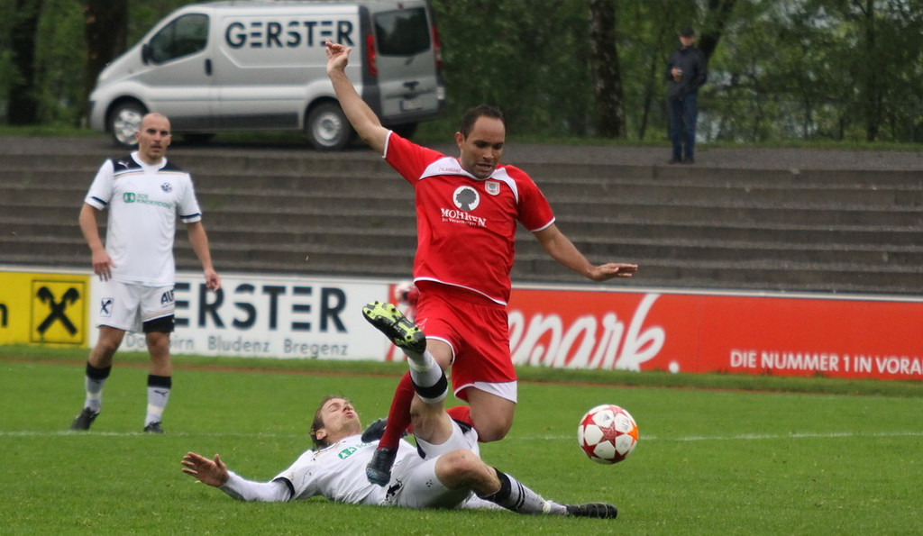 Dornb_ - Wattens  2012 268.jpg