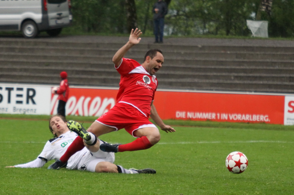 Dornb_ - Wattens  2012 269.jpg