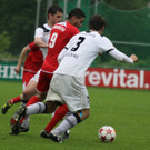 Dornb_ - Wattens  2012 276.jpg