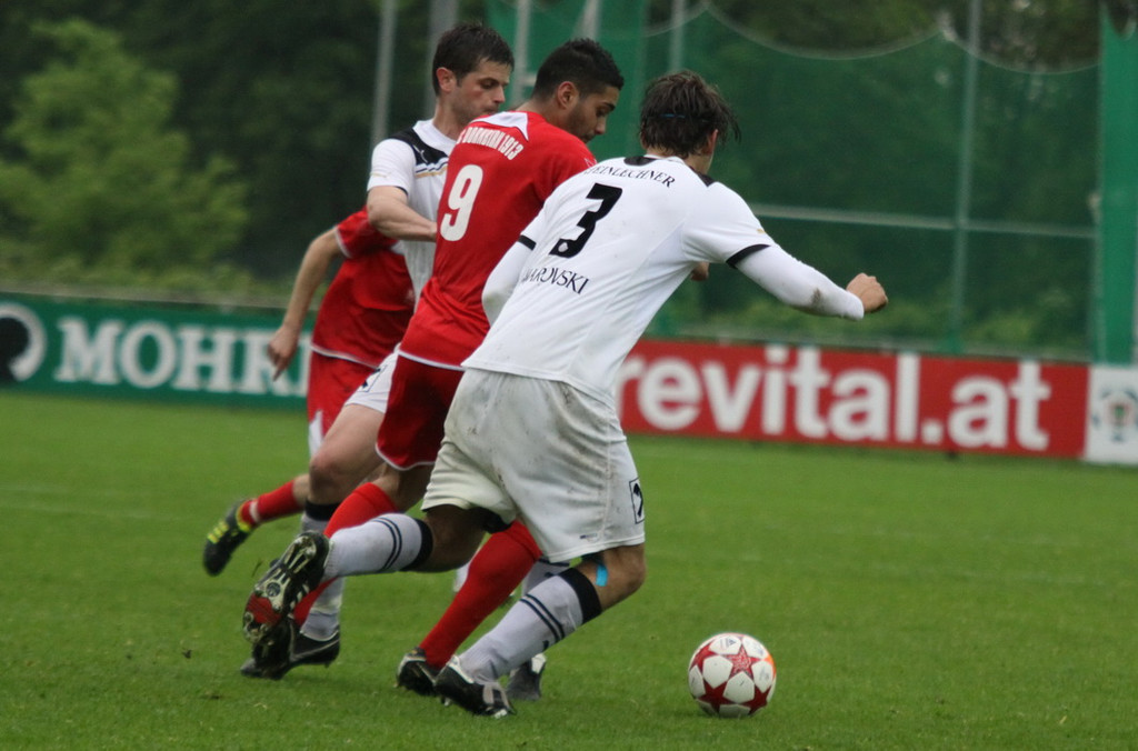 Dornb_ - Wattens  2012 276.jpg