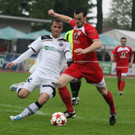 Dornb_ - Wattens  2012 291.jpg