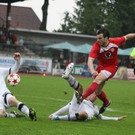 Dornb_ - Wattens  2012 293.jpg