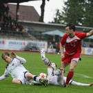 Dornb_ - Wattens  2012 294.jpg
