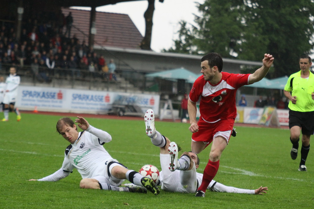 Dornb_ - Wattens  2012 294.jpg