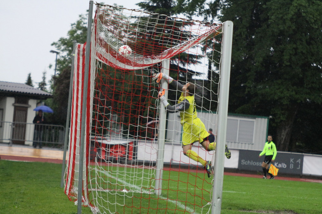 Dornb_ - Wattens  2012 353.jpg