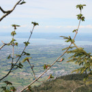 IMG_1311_JPG-1336918909
