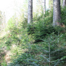 IMG_1330_JPG-1336919010