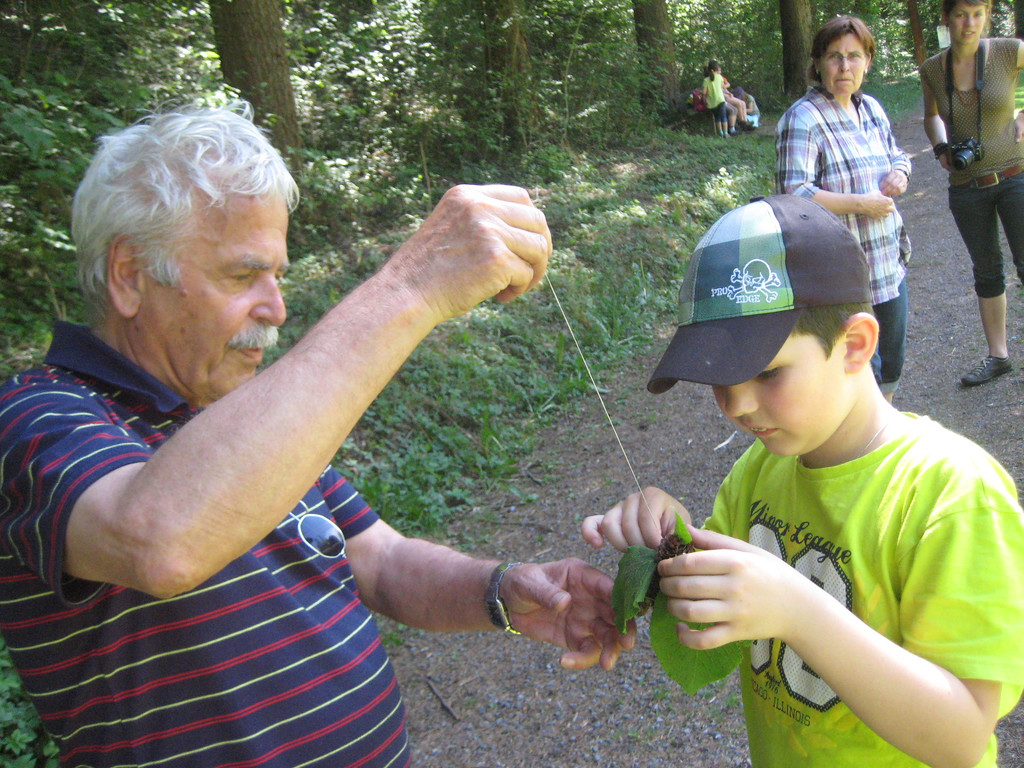 IMG_5211_JPG-1336925653